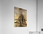 Paul Nash 34 Acrylic Print