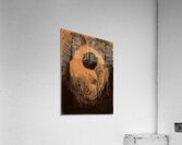 Paul Nash 18 Acrylic Print