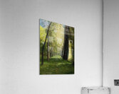 Odilon Redon 10 Acrylic Print