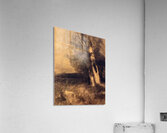 Odilon Redon 11 Acrylic Print