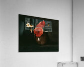 Odilon Redon 23 Acrylic Print