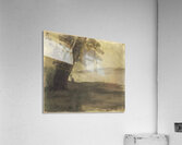 Odilon Redon 27 Acrylic Print