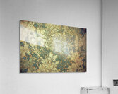 William Morris 27 Acrylic Print