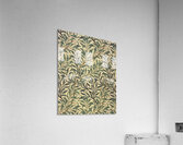 William Morris 38 Acrylic Print