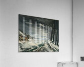 Maurice de Vlaminck 17 Acrylic Print