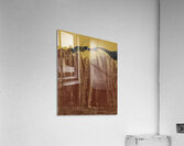 Max Ernst 2 Acrylic Print