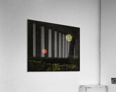 Max Ernst 8 Acrylic Print