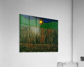 Max Ernst 24 Acrylic Print