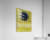 Max Ernst 9 Acrylic Print