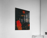 Max Ernst 31 Acrylic Print