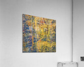 Max Ernst 33 Acrylic Print