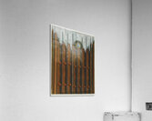 Max Ernst 44 Acrylic Print