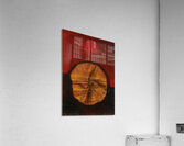 Max Ernst 53 Acrylic Print