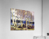 Tom Thomson 5 Acrylic Print