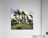 Tom Thomson 9 Acrylic Print