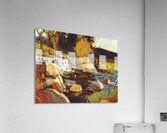 Tom Thomson 11 Acrylic Print