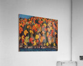 Tom Thomson 16 Acrylic Print