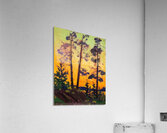 Tom Thomson 18 Acrylic Print