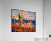 Tom Thomson 20 Acrylic Print