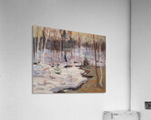 Tom Thomson 21 Acrylic Print