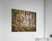 Tom Thomson 30 Acrylic Print