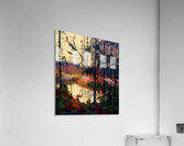 Tom Thomson 35 Acrylic Print