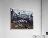 Tom Thomson 36 Acrylic Print