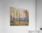 Tom Thomson 40 Acrylic Print