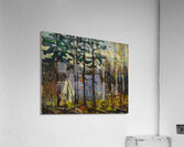 Tom Thomson 42 Acrylic Print