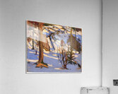 Tom Thomson 43 Acrylic Print