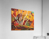 Tom Thomson 47 Acrylic Print