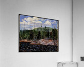 Tom Thomson 48 Acrylic Print