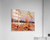 Tom Thomson 49 Acrylic Print