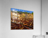 Tom Thomson 50 Acrylic Print