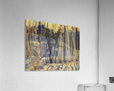 Tom Thomson 52 Acrylic Print