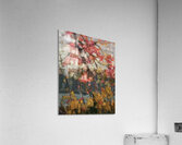 Tom Thomson 54 Acrylic Print