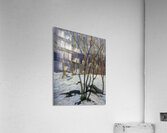 Tom Thomson 55 Acrylic Print