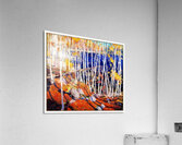 Tom Thomson 63 Acrylic Print