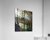 Tom Thomson 65 Acrylic Print
