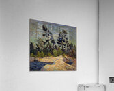 Tom Thomson 66 Acrylic Print