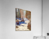 Tom Thomson 70 Acrylic Print