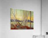 Tom Thomson 7 Acrylic Print