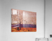 Tom Thomson 10 Acrylic Print