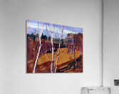 Tom Thomson 17 Acrylic Print