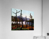 Tom Thomson 24 Acrylic Print