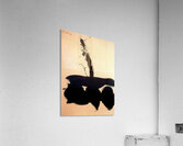 Robert Motherwell 9 Acrylic Print