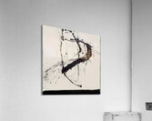 Robert Motherwell 11 Acrylic Print