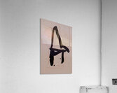 Robert Motherwell 18 Acrylic Print