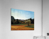 André Derain 44 Acrylic Print