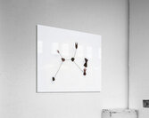 Alexander Calder 25 Acrylic Print